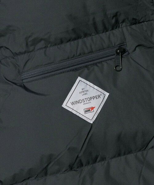 BEAUTY&YOUTH UNITED ARROWS / ビューティー&ユース ユナイテッドアローズ ダウンジャケット・ベスト | ＜THE NORTH FACE＞オルタレーション シエラ ジャケット | 詳細19
