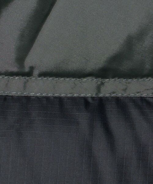 BEAUTY&YOUTH UNITED ARROWS / ビューティー&ユース ユナイテッドアローズ ダウンジャケット・ベスト | ＜THE NORTH FACE＞ヌプシ フーディー ジャケット | 詳細16