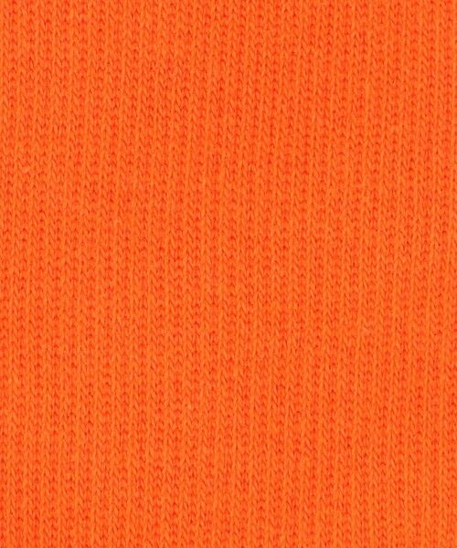 BEAUTY&YOUTH UNITED ARROWS / ビューティー&ユース ユナイテッドアローズ ソックス | リブ レギュラー ソックス | 詳細1