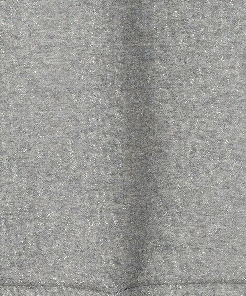 BEAUTY&YOUTH UNITED ARROWS / ビューティー&ユース ユナイテッドアローズ カットソー | ポリエステルコットンブレンド ラメダンボール プルオーバー/ミディアムグレー | 詳細13