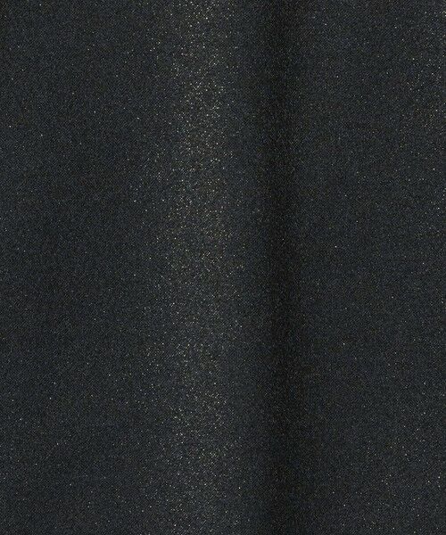 BEAUTY&YOUTH UNITED ARROWS / ビューティー&ユース ユナイテッドアローズ カットソー | ポリエステルコットンブレンド ラメダンボール プルオーバー/ブラック | 詳細13