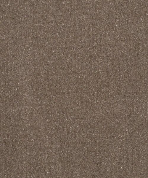 BEAUTY&YOUTH UNITED ARROWS / ビューティー&ユース ユナイテッドアローズ Tシャツ | シアーベロア リンガーロングスリーブTシャツ | 詳細28