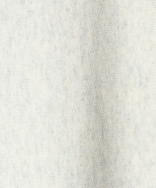 BEAUTY&YOUTH UNITED ARROWS / ビューティー&ユース ユナイテッドアローズ スウェット | 【別注】＜Champion＞ソリッドスウェットプルオーバー | 詳細8