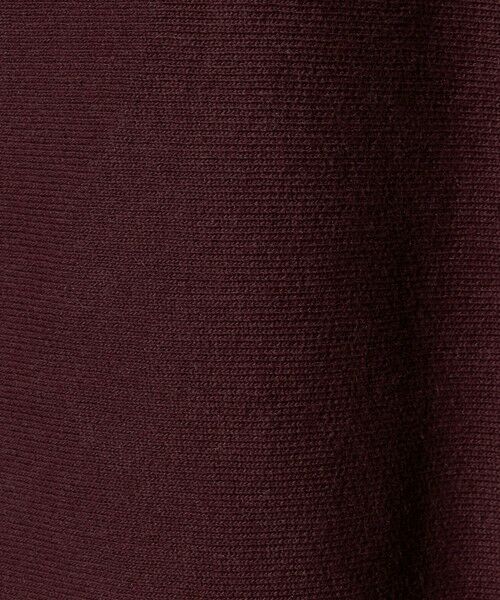 BEAUTY&YOUTH UNITED ARROWS / ビューティー&ユース ユナイテッドアローズ スウェット | 【別注】＜Champion＞ソリッドスウェットプルオーバー | 詳細19