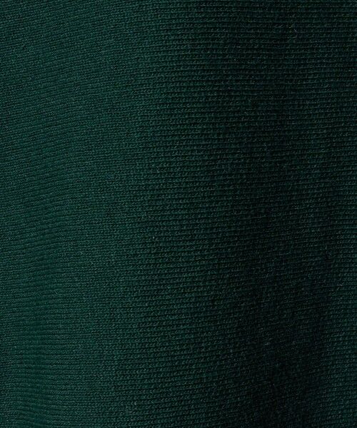 BEAUTY&YOUTH UNITED ARROWS / ビューティー&ユース ユナイテッドアローズ スウェット | 【別注】＜Champion＞ソリッドスウェットプルオーバー | 詳細29