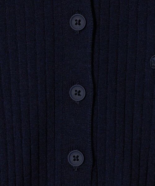 BEAUTY&YOUTH UNITED ARROWS / ビューティー&ユース ユナイテッドアローズ ニット・セーター | ＜LACOSTE＞ポロカラーニットプルオーバー | 詳細12