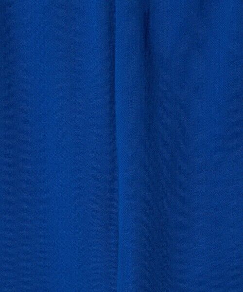 BEAUTY&YOUTH UNITED ARROWS / ビューティー&ユース ユナイテッドアローズ チノ・ワークパンツ | コットン裏毛 スウェットパンツ | 詳細22