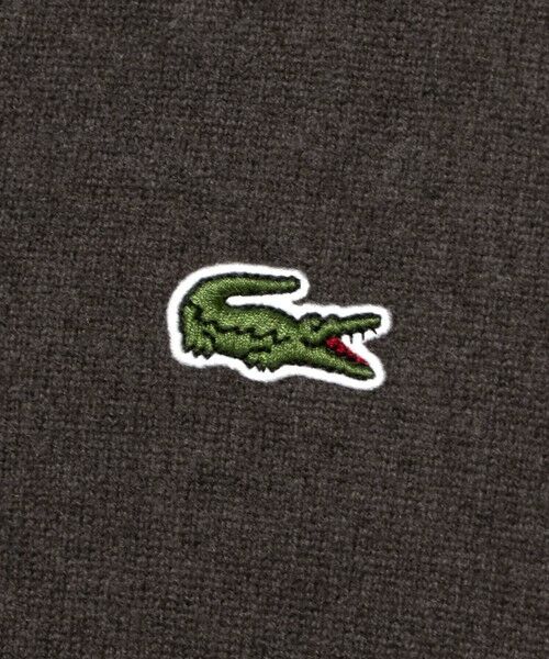 BEAUTY&YOUTH UNITED ARROWS / ビューティー&ユース ユナイテッドアローズ カーディガン・ボレロ | 【別注】＜LACOSTE＞ロングスリーブニットカーディガン | 詳細26