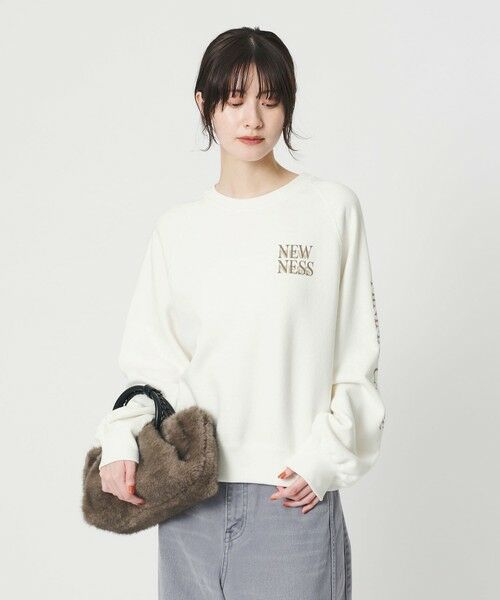 BEAUTY&YOUTH UNITED ARROWS / ビューティー&ユース ユナイテッドアローズ スウェット | 【別注】＜Americana＞ロゴスウェットプルオーバー | 詳細1