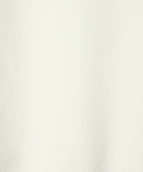 BEAUTY&YOUTH UNITED ARROWS / ビューティー&ユース ユナイテッドアローズ スウェット | 【別注】＜Americana＞ロゴスウェットプルオーバー | 詳細15