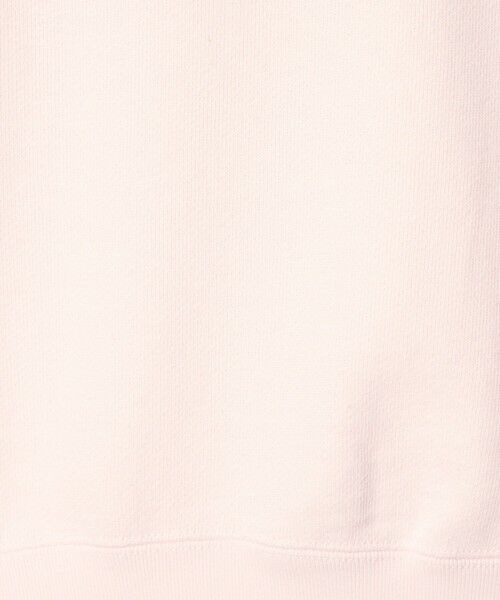 BEAUTY&YOUTH UNITED ARROWS / ビューティー&ユース ユナイテッドアローズ スウェット | 【別注】＜Americana＞ロゴスウェットプルオーバー | 詳細23