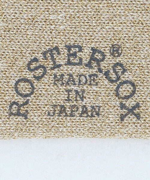 BEAUTY&YOUTH UNITED ARROWS / ビューティー&ユース ユナイテッドアローズ ソックス | ＜ROSTER SOX＞VIVO ソックス | 詳細3