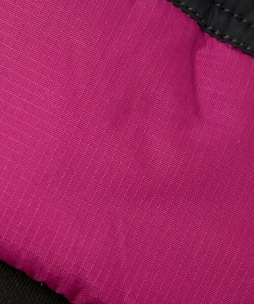 BEAUTY&YOUTH UNITED ARROWS / ビューティー&ユース ユナイテッドアローズ 手袋 | ＜THE NORTH FACE＞ヌプシ イーチップ グローブ | 詳細15