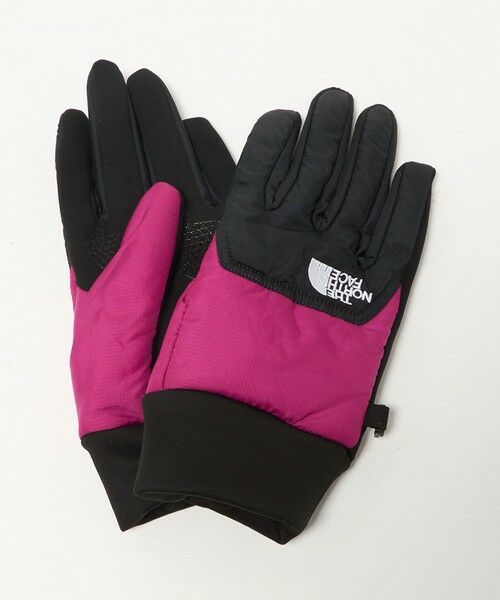 BEAUTY&YOUTH UNITED ARROWS / ビューティー&ユース ユナイテッドアローズ 手袋 | ＜THE NORTH FACE＞ヌプシ イーチップ グローブ | 詳細9
