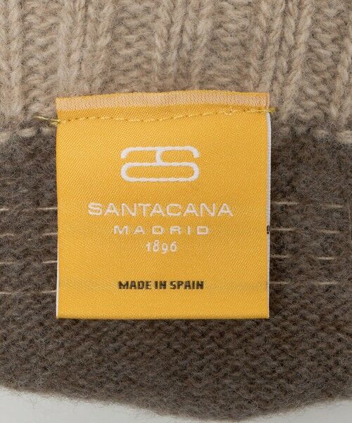 BEAUTY&YOUTH UNITED ARROWS / ビューティー&ユース ユナイテッドアローズ 手袋 | ＜SANTACANA＞フィンガーレス グローブ | 詳細18