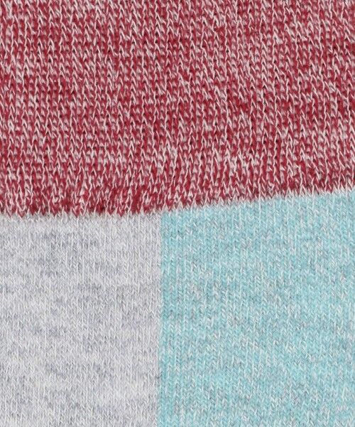 BEAUTY&YOUTH UNITED ARROWS / ビューティー&ユース ユナイテッドアローズ ソックス | ＜THE NORTH FACE＞トレッカーズ クルーソックス | 詳細2