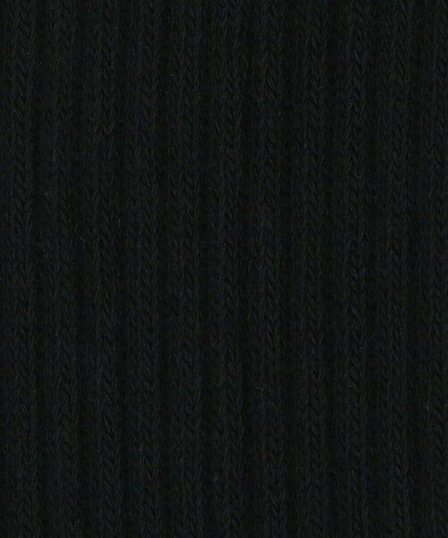 BEAUTY&YOUTH UNITED ARROWS / ビューティー&ユース ユナイテッドアローズ ソックス | ペール リブソックス | 詳細3