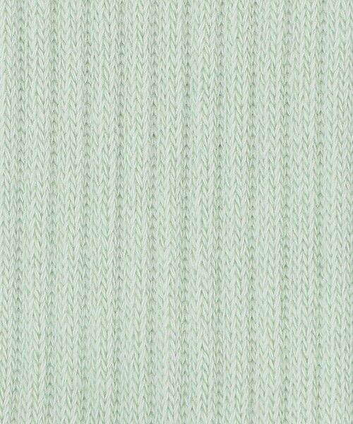 BEAUTY&YOUTH UNITED ARROWS / ビューティー&ユース ユナイテッドアローズ ソックス | ペール リブソックス | 詳細5