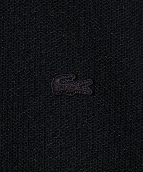 BEAUTY&YOUTH UNITED ARROWS / ビューティー&ユース ユナイテッドアローズ カットソー | ＜LACOSTE for BEAUTY&YOUTH＞ワントーン ロング スリーブ カットソー | 詳細7