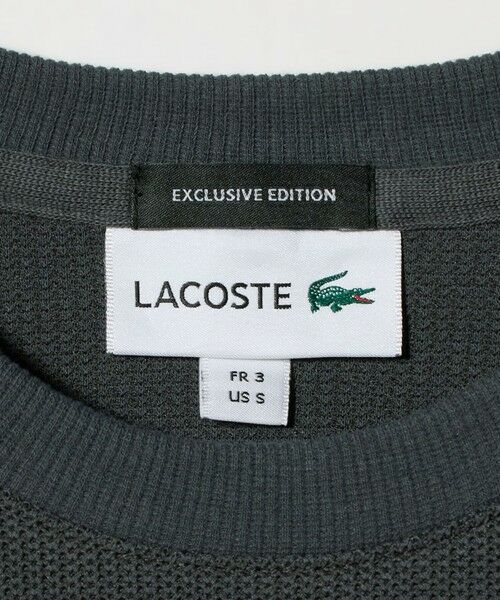 BEAUTY&YOUTH UNITED ARROWS / ビューティー&ユース ユナイテッドアローズ カットソー | ＜LACOSTE for BEAUTY&YOUTH＞ワントーン ロング スリーブ カットソー | 詳細19
