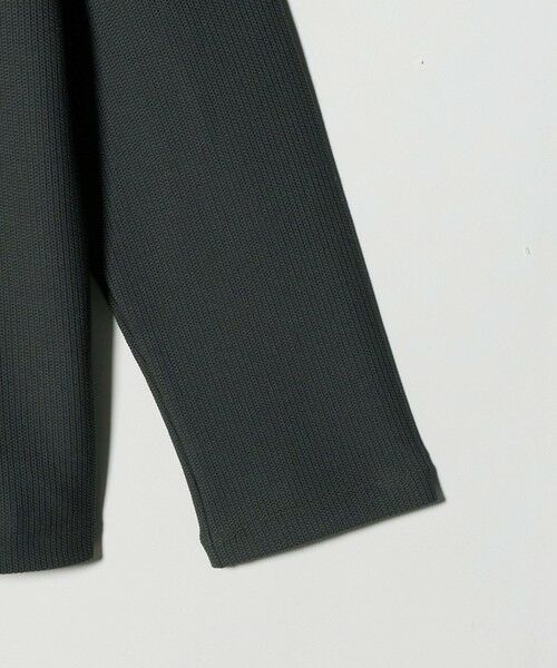 BEAUTY&YOUTH UNITED ARROWS / ビューティー&ユース ユナイテッドアローズ カットソー | ＜LACOSTE for BEAUTY&YOUTH＞ワントーン ロング スリーブ カットソー | 詳細15