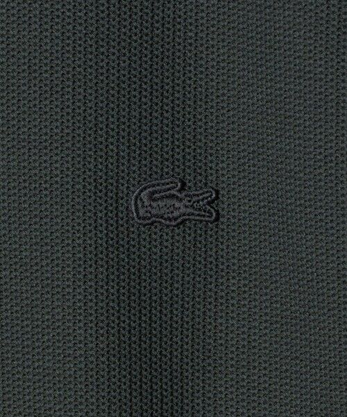 BEAUTY&YOUTH UNITED ARROWS / ビューティー&ユース ユナイテッドアローズ カットソー | ＜LACOSTE for BEAUTY&YOUTH＞ワントーン ロング スリーブ カットソー | 詳細17