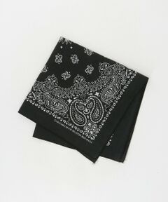 BEAUTY&YOUTH UNITED ARROWS / ビューティー&ユース ユナイテッドアローズ バンダナ・スカーフ | ＜Hav-A-Hank＞ペイズリー バンダナ