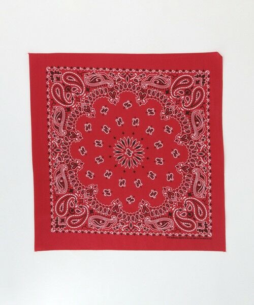 BEAUTY&YOUTH UNITED ARROWS / ビューティー&ユース ユナイテッドアローズ バンダナ・スカーフ | ＜Hav-A-Hank＞ペイズリー バンダナ | 詳細7