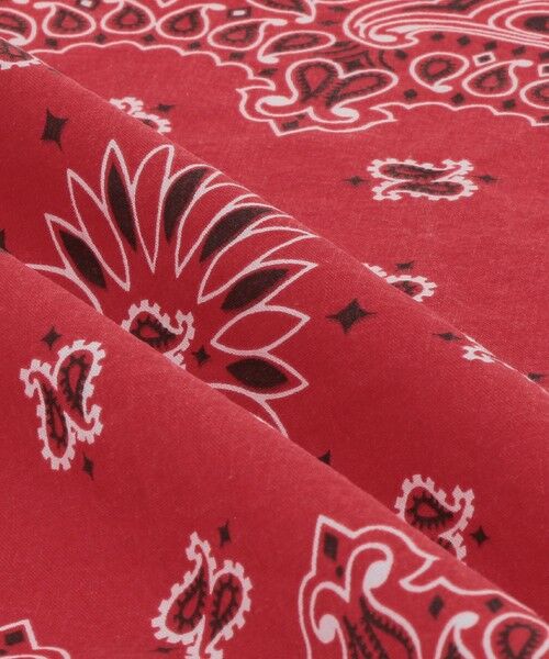 BEAUTY&YOUTH UNITED ARROWS / ビューティー&ユース ユナイテッドアローズ バンダナ・スカーフ | ＜Hav-A-Hank＞ペイズリー バンダナ | 詳細9