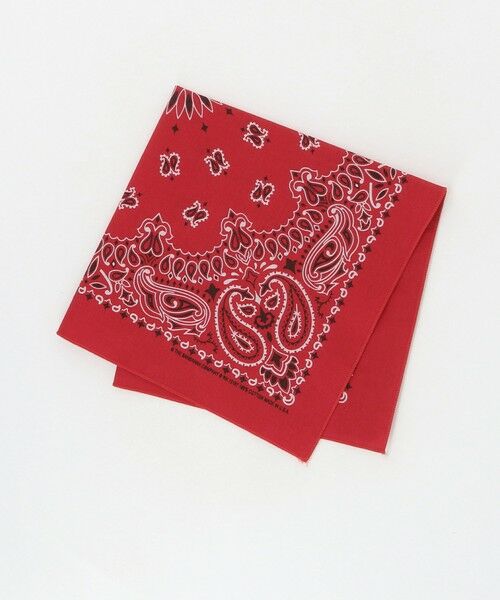 BEAUTY&YOUTH UNITED ARROWS / ビューティー&ユース ユナイテッドアローズ バンダナ・スカーフ | ＜Hav-A-Hank＞ペイズリー バンダナ（RED）