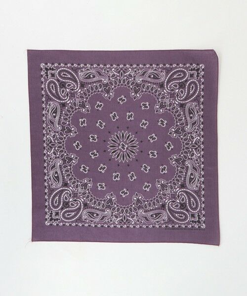 BEAUTY&YOUTH UNITED ARROWS / ビューティー&ユース ユナイテッドアローズ バンダナ・スカーフ | ＜Hav-A-Hank＞ペイズリー バンダナ | 詳細10