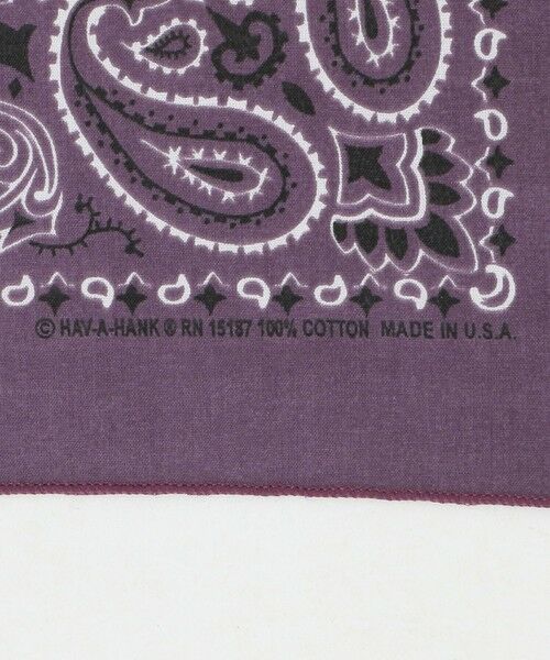 BEAUTY&YOUTH UNITED ARROWS / ビューティー&ユース ユナイテッドアローズ バンダナ・スカーフ | ＜Hav-A-Hank＞ペイズリー バンダナ | 詳細12