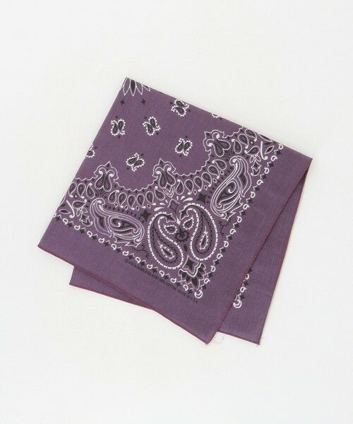 BEAUTY&YOUTH UNITED ARROWS / ビューティー&ユース ユナイテッドアローズ バンダナ・スカーフ | ＜Hav-A-Hank＞ペイズリー バンダナ（PURPLE）