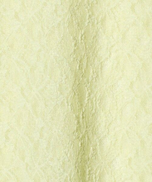 BEAUTY&YOUTH UNITED ARROWS / ビューティー&ユース ユナイテッドアローズ カットソー | フラワーレース プルオーバー | 詳細26