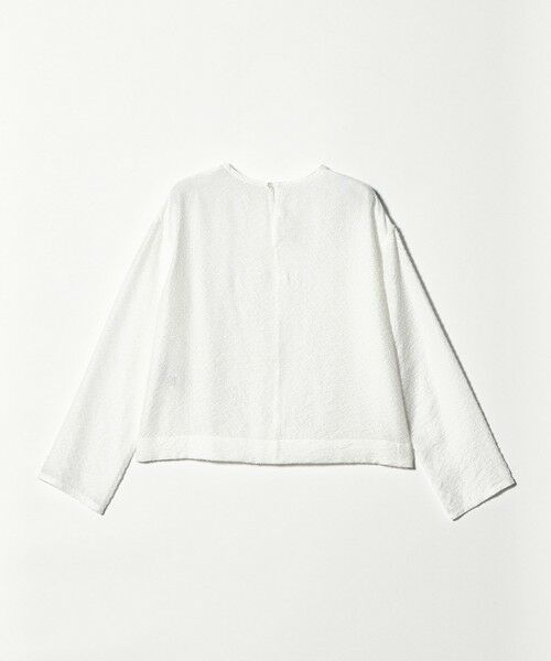 BEAUTY&YOUTH UNITED ARROWS / ビューティー&ユース ユナイテッドアローズ シャツ・ブラウス | ピンドット シアージャガード ブラウス ウォッシャブル | 詳細5