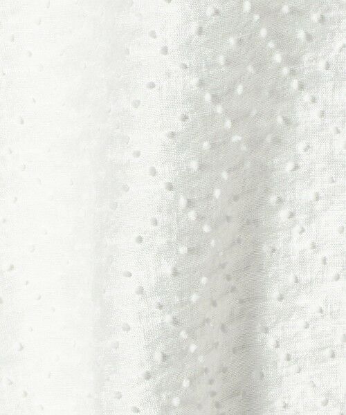 BEAUTY&YOUTH UNITED ARROWS / ビューティー&ユース ユナイテッドアローズ シャツ・ブラウス | ピンドット シアージャガード ブラウス ウォッシャブル | 詳細7