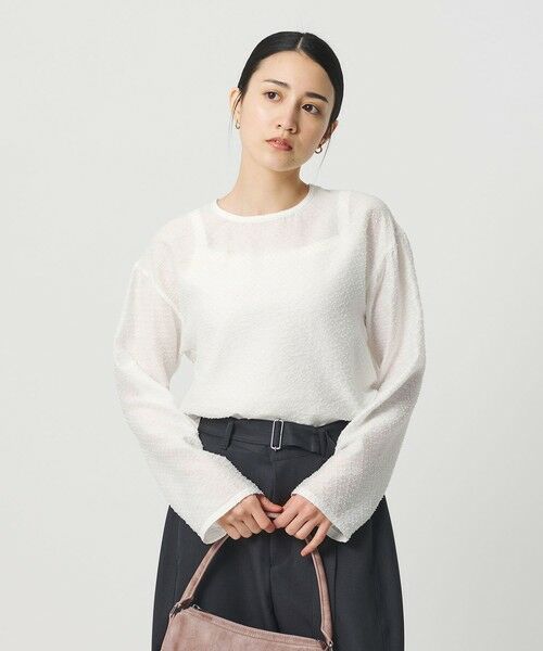 BEAUTY&YOUTH UNITED ARROWS / ビューティー&ユース ユナイテッドアローズ シャツ・ブラウス | ピンドット シアージャガード ブラウス ウォッシャブル | 詳細1