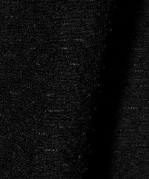 BEAUTY&YOUTH UNITED ARROWS / ビューティー&ユース ユナイテッドアローズ シャツ・ブラウス | ピンドット シアージャガード ブラウス ウォッシャブル | 詳細14