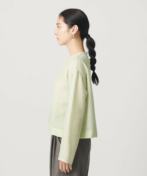 BEAUTY&YOUTH UNITED ARROWS / ビューティー&ユース ユナイテッドアローズ シャツ・ブラウス | ピンドット シアージャガード ブラウス ウォッシャブル | 詳細19