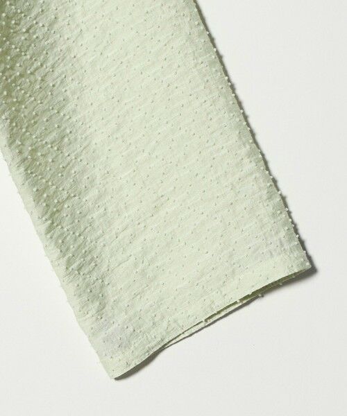 BEAUTY&YOUTH UNITED ARROWS / ビューティー&ユース ユナイテッドアローズ シャツ・ブラウス | ピンドット シアージャガード ブラウス ウォッシャブル | 詳細24