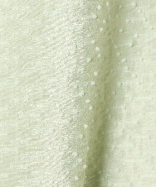 BEAUTY&YOUTH UNITED ARROWS / ビューティー&ユース ユナイテッドアローズ シャツ・ブラウス | ピンドット シアージャガード ブラウス ウォッシャブル | 詳細26