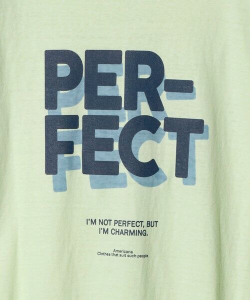 BEAUTY&YOUTH UNITED ARROWS / ビューティー&ユース ユナイテッドアローズ Tシャツ | 【別注】＜Americana＞プリント ロングスリーブTシャツ | 詳細14