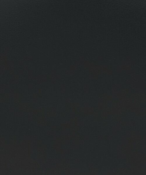 BEAUTY&YOUTH UNITED ARROWS / ビューティー&ユース ユナイテッドアローズ トートバッグ | ＜VIOLAd’ORO＞TRERO レザー ベルト トートバッグ | 詳細11