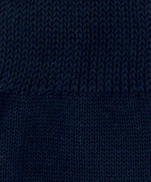 BEAUTY&YOUTH UNITED ARROWS / ビューティー&ユース ユナイテッドアローズ ソックス | 【別注】＜ROSTER SOX＞バックハート ソックス | 詳細9