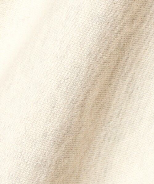 BEAUTY&YOUTH UNITED ARROWS / ビューティー&ユース ユナイテッドアローズ スウェット | 【別注】＜Champion＞ロゴスウェット ショートスリーブ プルオーバー | 詳細8