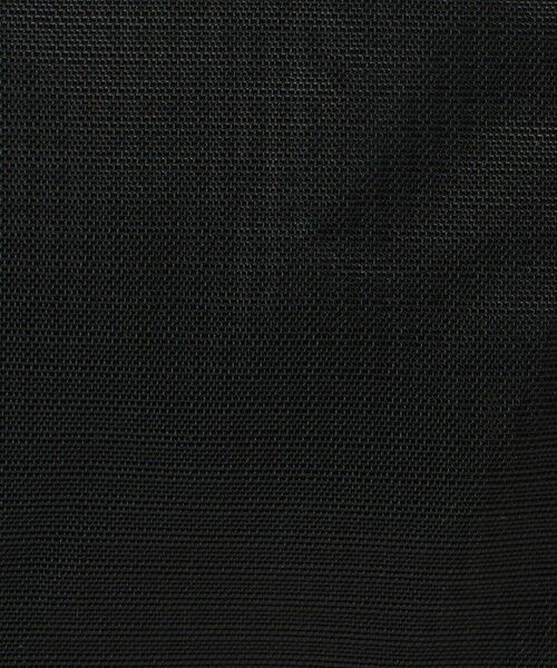 BEAUTY&YOUTH UNITED ARROWS / ビューティー&ユース ユナイテッドアローズ メッセンジャーバッグ・ウエストポーチ | ＜Salomon＞ACS ウエストパック 3 | 詳細15