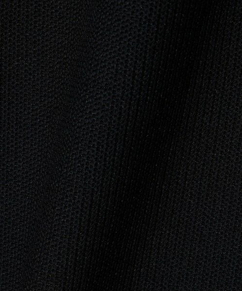 BEAUTY&YOUTH UNITED ARROWS / ビューティー&ユース ユナイテッドアローズ ポロシャツ | ＜LACOSTE for BEAUTY&YOUTH＞ワントーン ポロシャツ | 詳細9