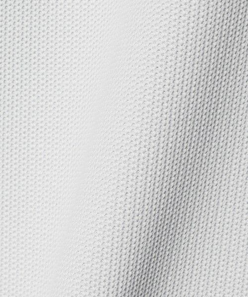 BEAUTY&YOUTH UNITED ARROWS / ビューティー&ユース ユナイテッドアローズ ポロシャツ | ＜LACOSTE for BEAUTY&YOUTH＞ワントーン ポロシャツ | 詳細16