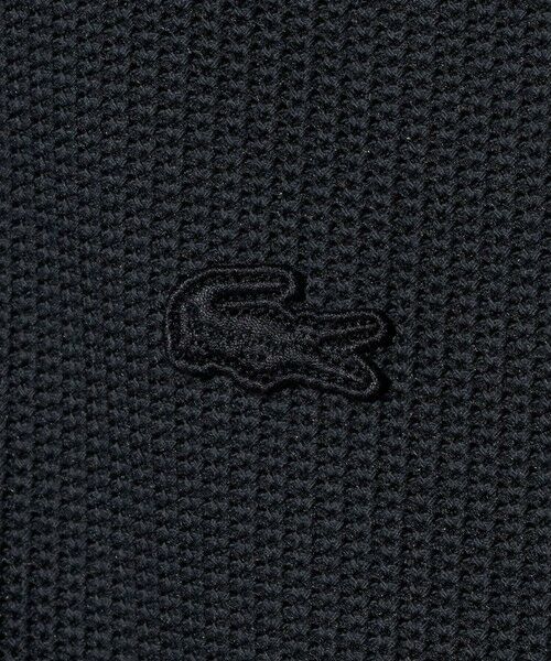 BEAUTY&YOUTH UNITED ARROWS / ビューティー&ユース ユナイテッドアローズ ポロシャツ | ＜LACOSTE for BEAUTY&YOUTH＞ワントーン ポロシャツ | 詳細10