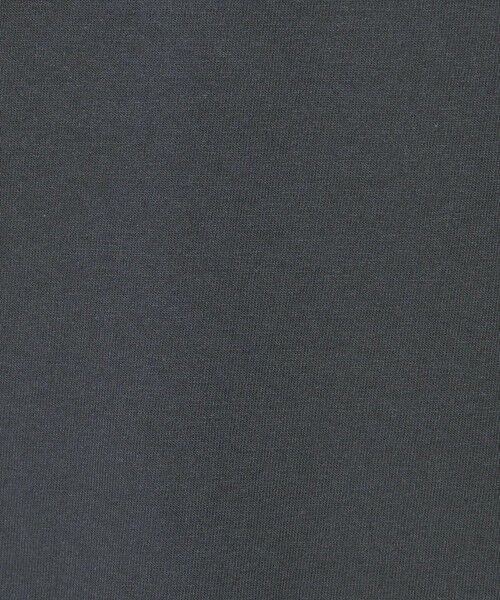 BEAUTY&YOUTH UNITED ARROWS / ビューティー&ユース ユナイテッドアローズ Tシャツ | 【別注】 <Hanes> ビーフィー Tシャツ | 詳細17